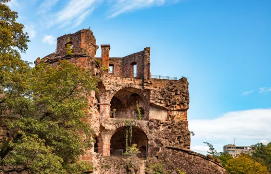 德法蘭克福萊茵峽谷+呂德斯海姆+畫眉鳥小巷中文包車一日遊