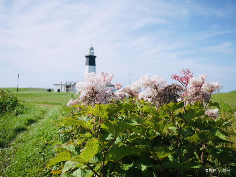 Cape Notoro