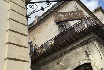 Seven Lives Tacos y Mariscos User Photo