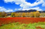 Red Grassland