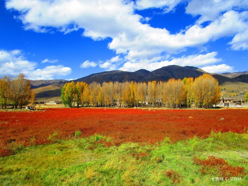 Red Grassland