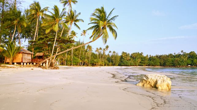 民丹島私人包車連司機服務 – 半日或全日