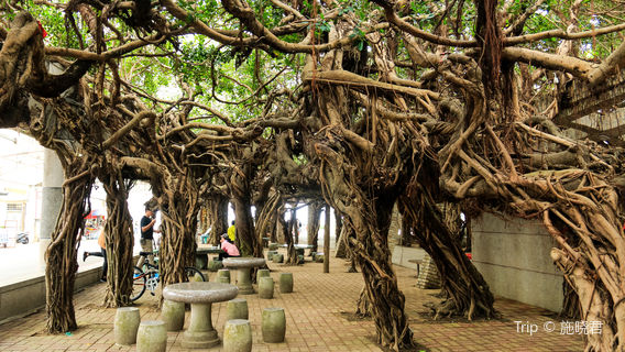 Tongliang antico baniano