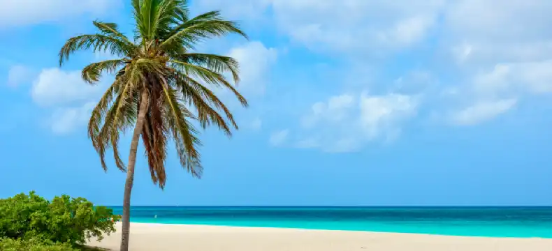 팜 비치 주변 호텔