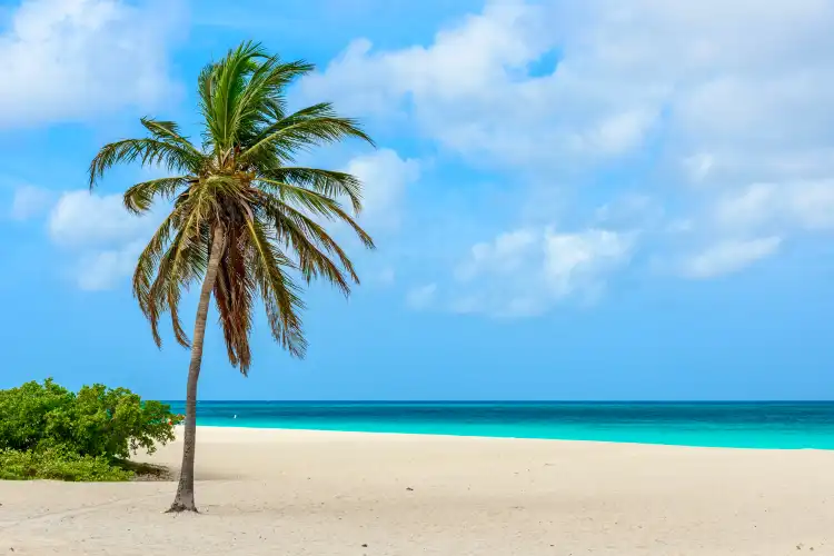 Hotels in Palm Beach