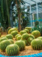 Южная Азия Тропический Ботанический сад