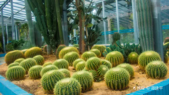 南亞熱帶植物園