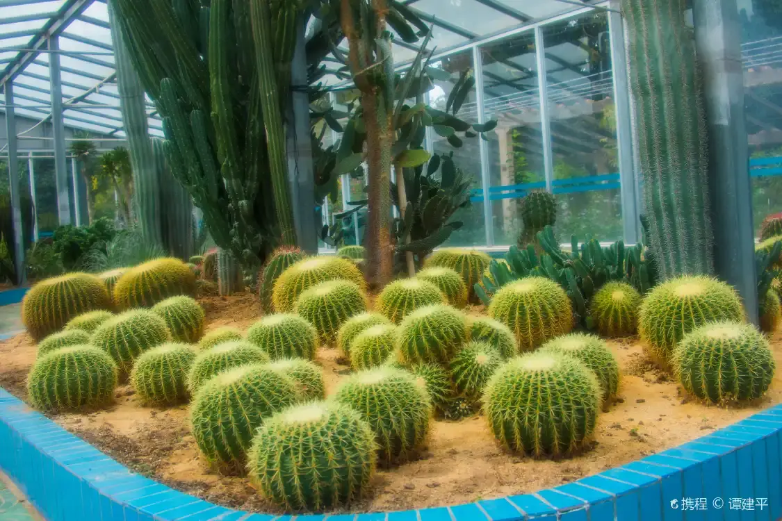 Hotel in zona South Asia Tropical Botanical Garden of Zhanjiang