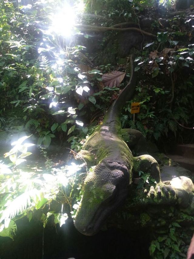 聖猴森林公園