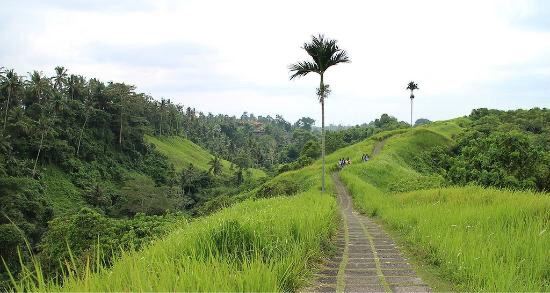 Campuhan Ridge Walk