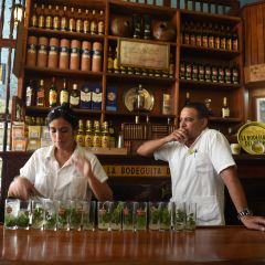 La Bodeguita del Medio張用戶圖片
