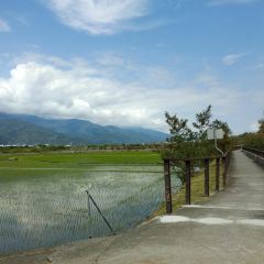 Wutaochishangfanbao (taidongchishang) User Photo
