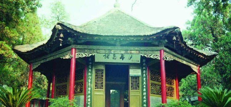 龙源美食(科技路店)