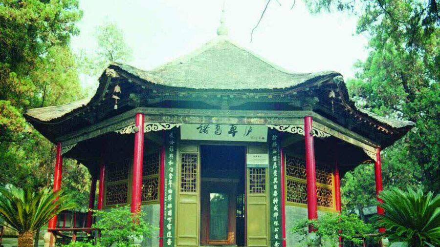 龙源美食(科技路店)