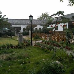 LU CAI GEN LONG CHENG GUO JI DIAN User Photo