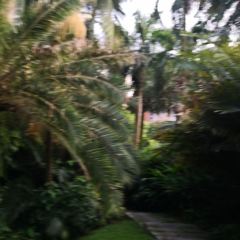 西天目林海农庄 User Photo