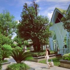 Vie All Day User Photo