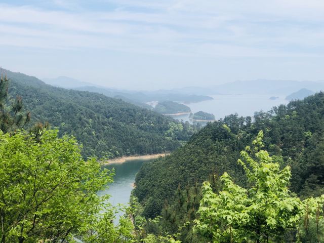 메이펑다오