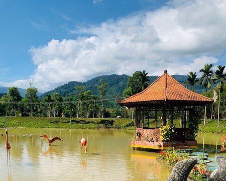 Yang Bay Eco Park