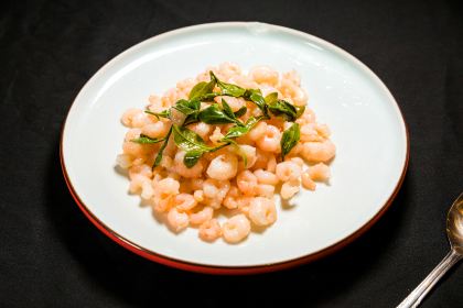 Mountain Beyond Mountain