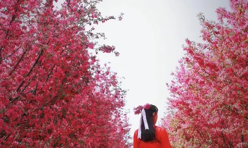 Xiangshan National Forest Park