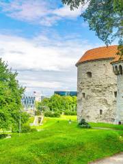 Estonian History Museum - Maarjamae Palace