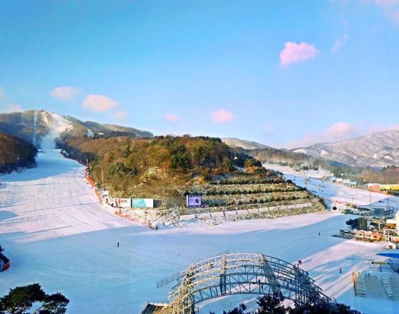 原州市 自由行套票