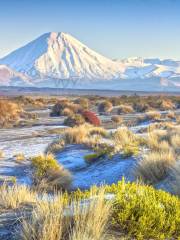 Mt Ngauruhoe