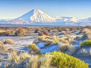 Mt Ngauruhoe