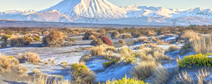 Mt Ngauruhoe