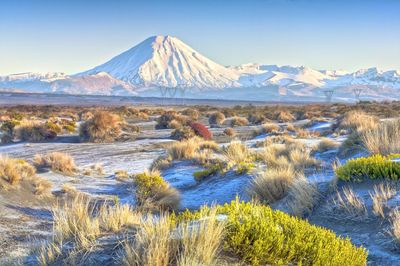 Mt Ngauruhoe