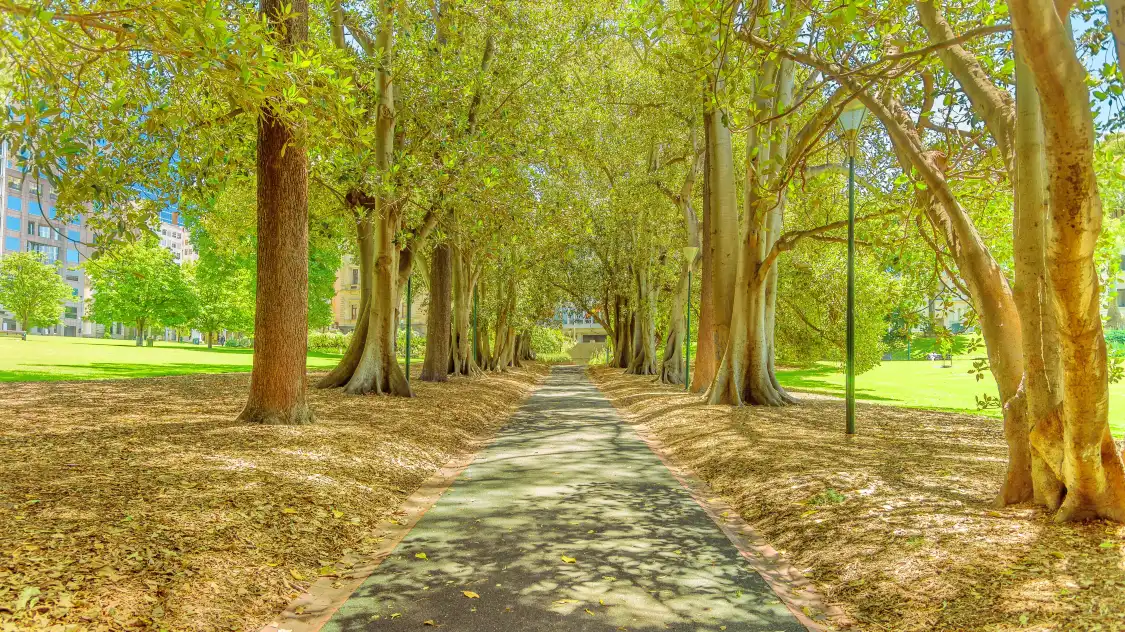 Hotels near Treasury Gardens