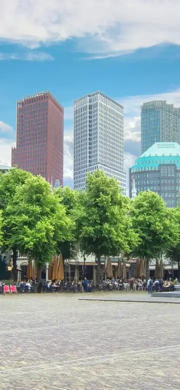 鄰近海牙廣場的酒店