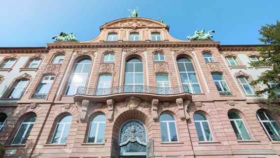 Senckenberg Nature Museum