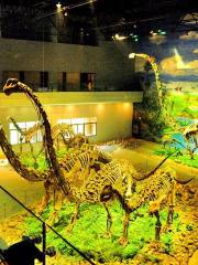 쯔궁 공룡 박물관