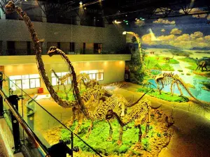 Zigong Dinosaur Museum