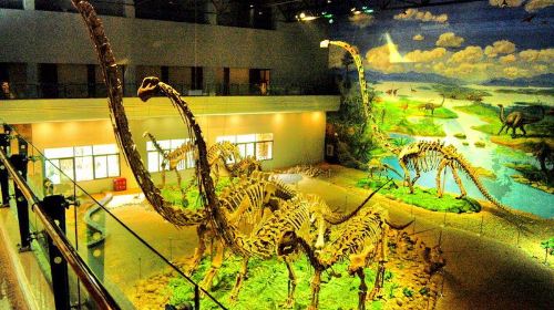 Zigong Dinosaur Museum