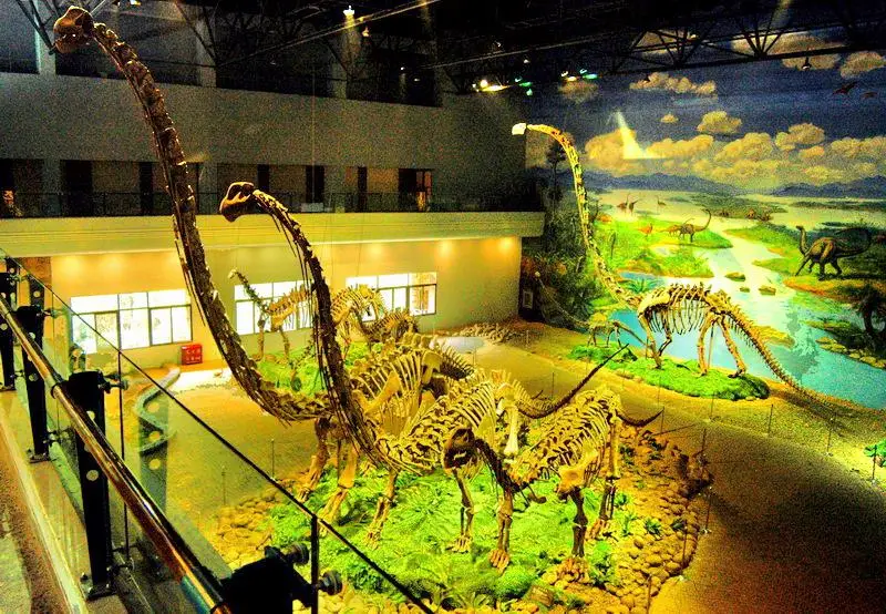 自貢恐竜博物館
