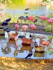 Centro de conservación y zoológico Jardines de Ardastra