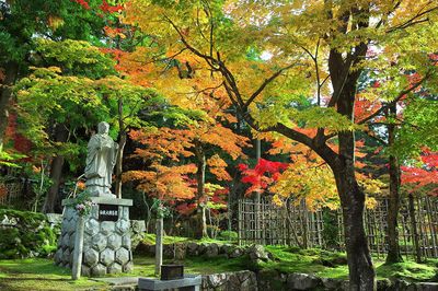 Saimyoji