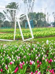 Yuenan Flower Township