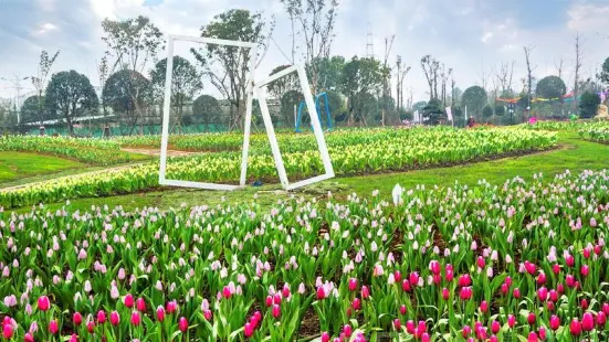 Yuenan Flower Township