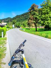 Daishan Island Cycling