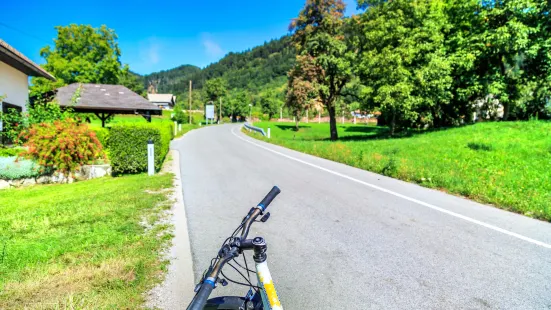 Daishan Island Cycling