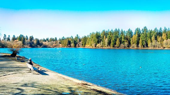 Lost Lagoon, Stanley Park