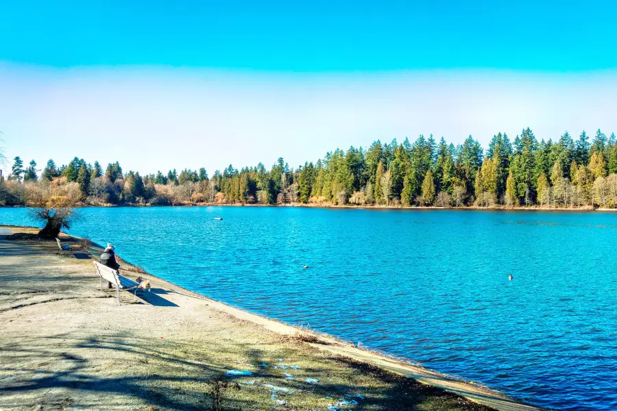 Lost Lagoon, Stanley Park