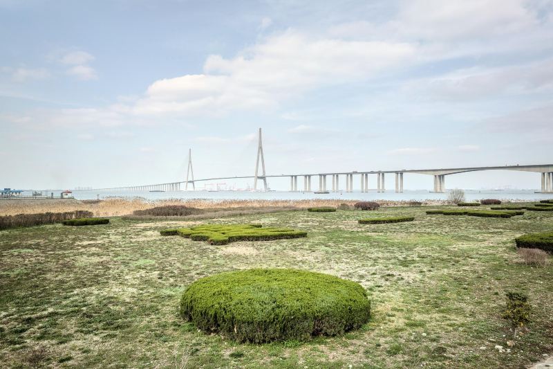 蘇通大橋