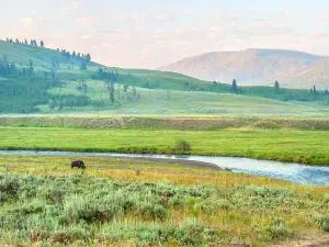 Lamar Valley