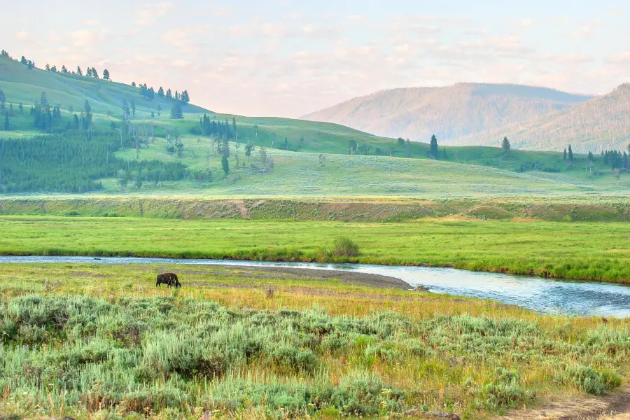 Lamar Valley