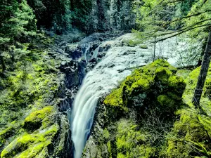 parc provincial Englishman River Falls